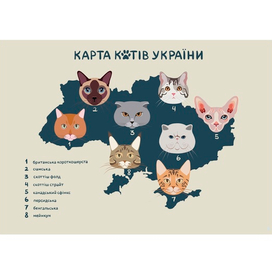 Юмористическая карта котов Украины 