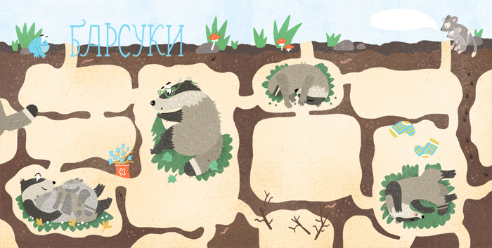 Как спят зверята? Барсуки.