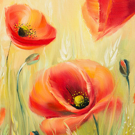 Солнечные маки