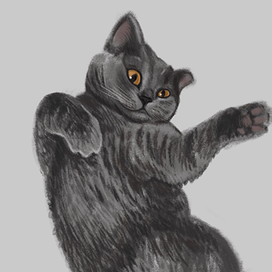 Кот Мурзик