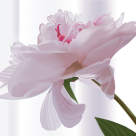 цветок (трейс)