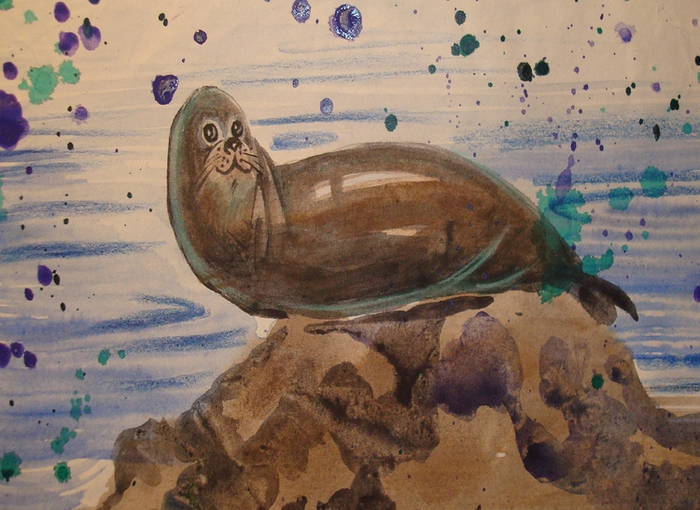 каспийский тюлень