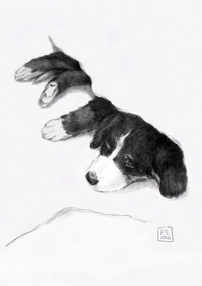 Графика. Оригинал.