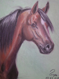 Улыбчивая лошадь