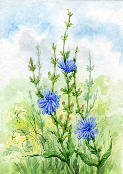 просто цветок