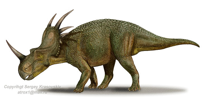 Styracosaurus albertensis (динозавр) 