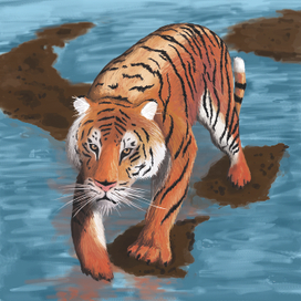 tiger