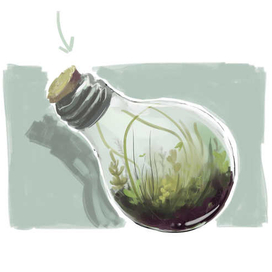 вечный террариум