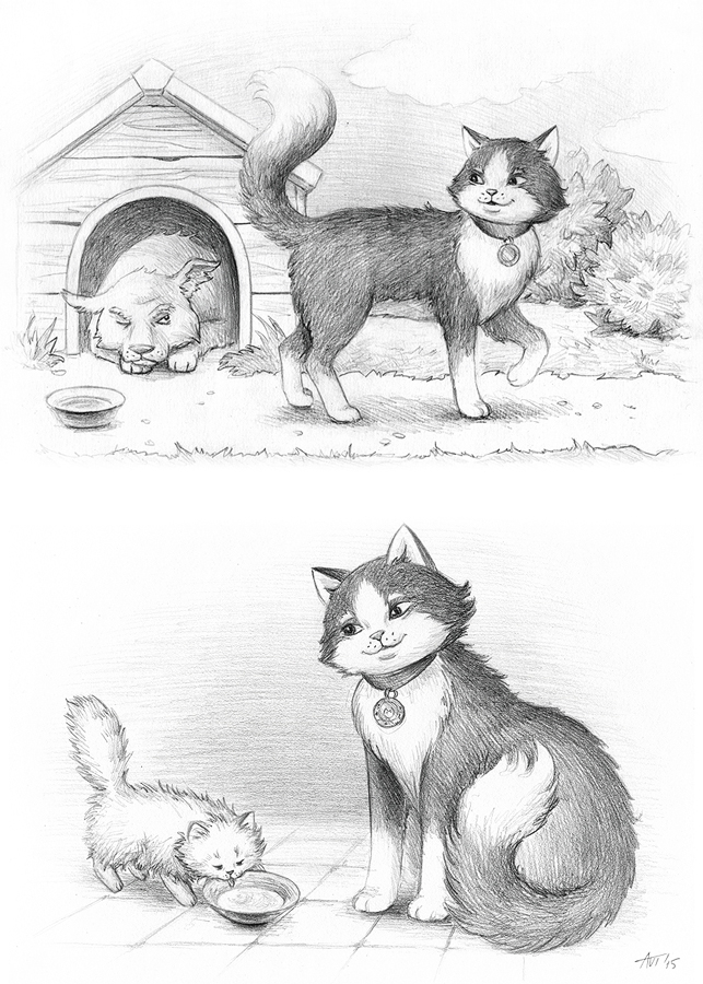 Котики и другие обитатели фермы