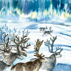 Разворот к книге Г. Емельяновой “Девочка Бусинка с берегов Охотского моря. Эвенкийские сказки” изд. "БХВ" 2021