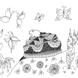 Любуясь бабочками