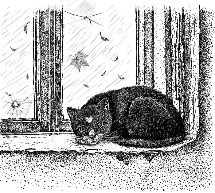 Иллюстрация к книге "Долгая дорога Домой" издательства Феникс-Премьер