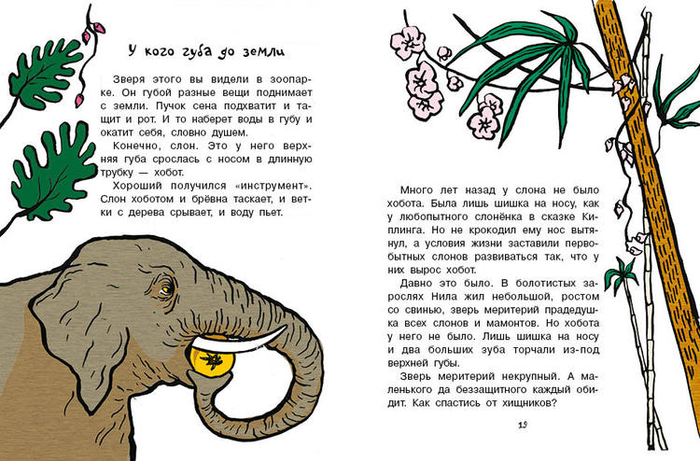 Кто без крыльев живет_09