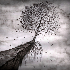 дерево (чужие стихи)