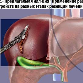 Медицина и анатомия