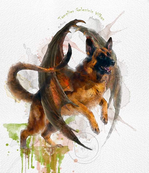 Тамплиер Железный Волк