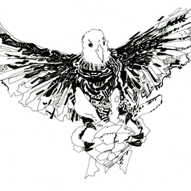 Ястреб и черепаха