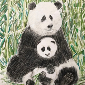 Панда с панденком 