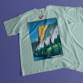 Горный пейзаж парка Йосемите в США