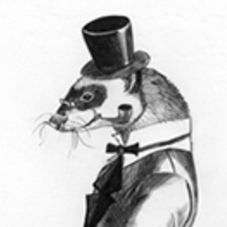 мистер хорек