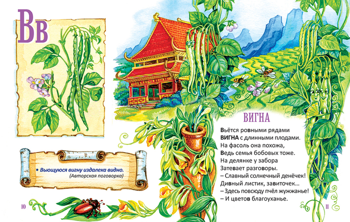 Иллюстрация к "Овощной азбуке" Людмилы Соломиной