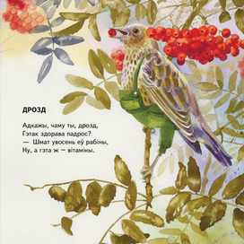 Васiль Вiтка. Драч i дрозд