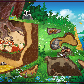 книжка с окошками