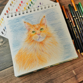 Кот с зелеными глазами