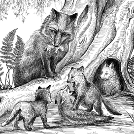 Сетон-Томпсон. Рассказы о животных.