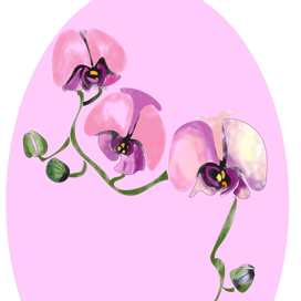 Орхидея