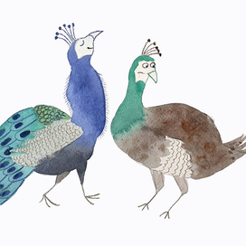 Гордость и предубеждение