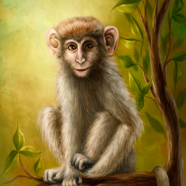 Обезьяна