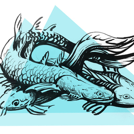 Доисторические рыбы