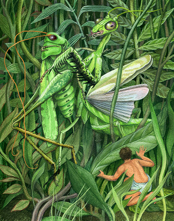 В. Брагин.,"В стране дремучих трав".