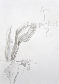 высокомерный тюльпан