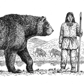 Сравнительные размеры короткомордого медведя и человека.