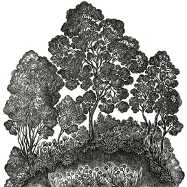 Дыхание Весны