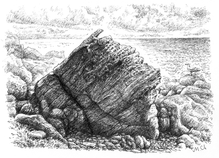 На морском берегу