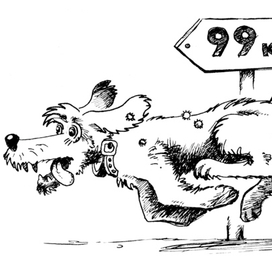 Для бешеной собаки 7 вёрст не крюк