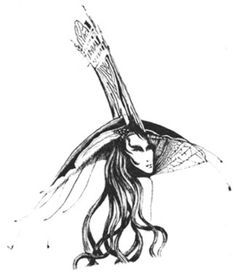 (без названия)