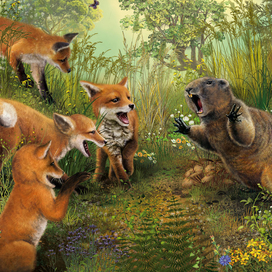 лиса из спрингфилда