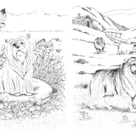 Раскраски для детей. Собаки.