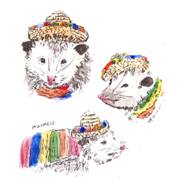 Опоссум в мексиканкой шляпе