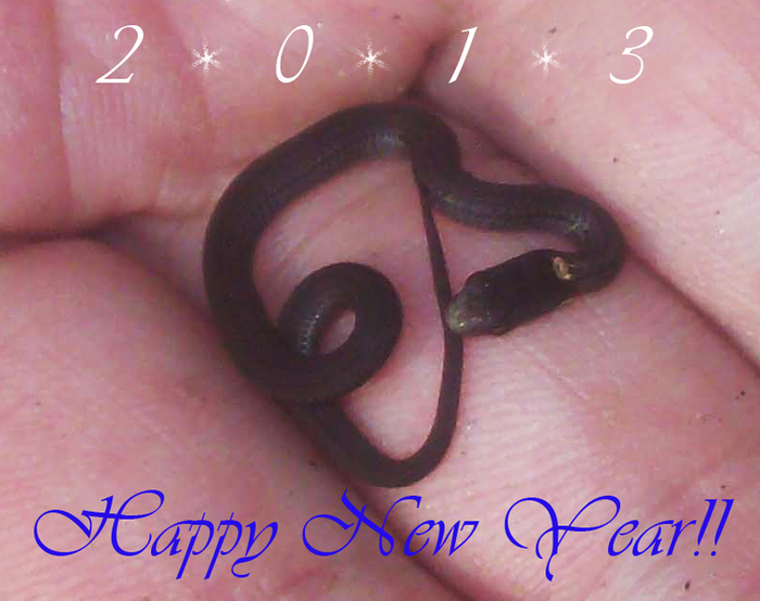 Всех, всех, с этим самым!