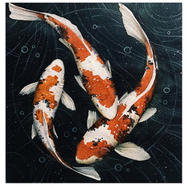 В аквариуме