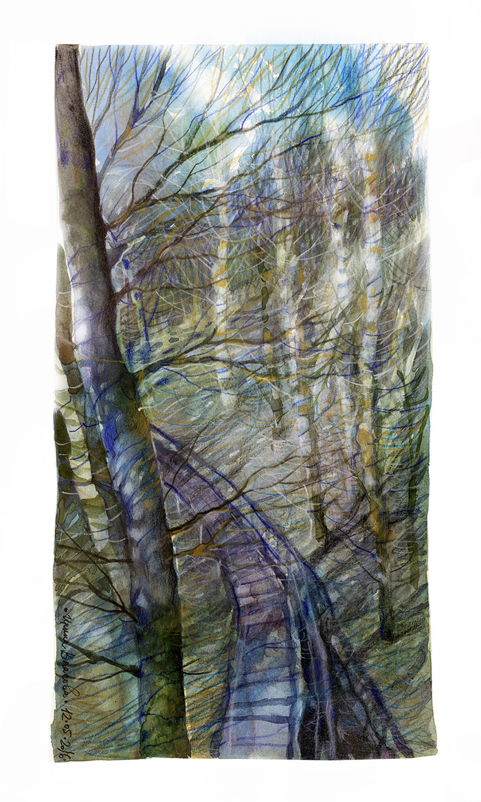 Пешеходная дорожка в холмистой местности.