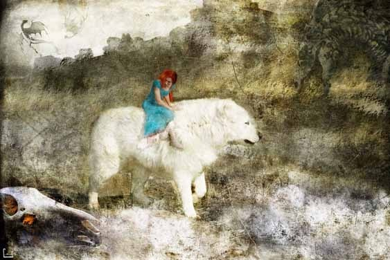 Страна драконов