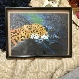 Леопард и пантера