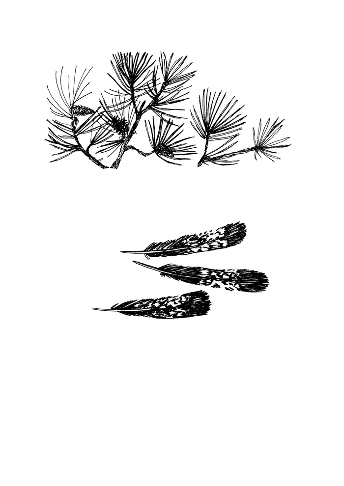 Иллюстрация Мурышева Валентина "Царь-Рыба" Виктор Астафьев 