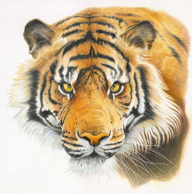 Календарь. Сентябрь